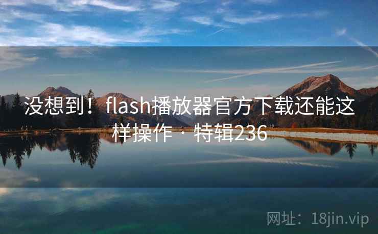 没想到！flash播放器官方下载还能这样操作 · 特辑236  第2张
