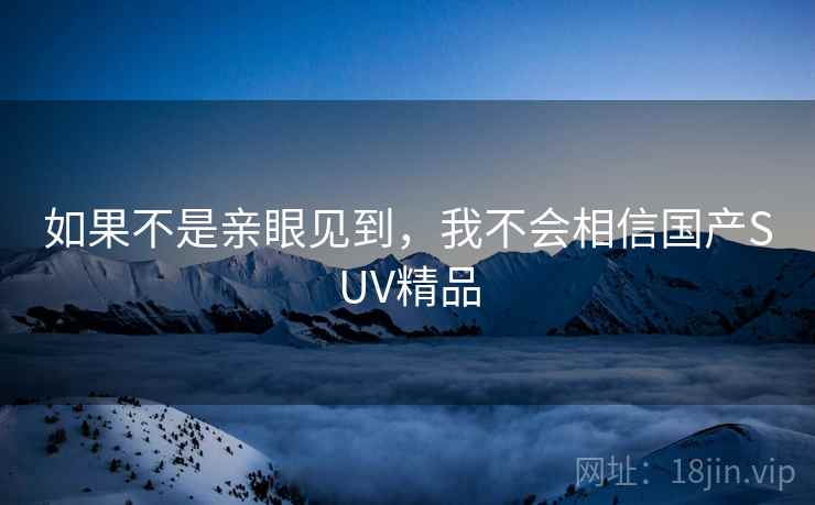 如果不是亲眼见到，我不会相信国产SUV精品  第1张