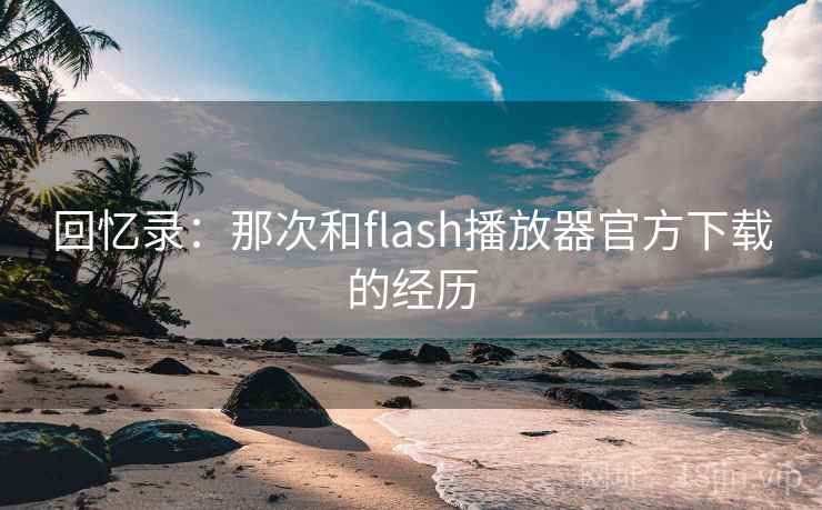 回忆录：那次和flash播放器官方下载的经历  第2张