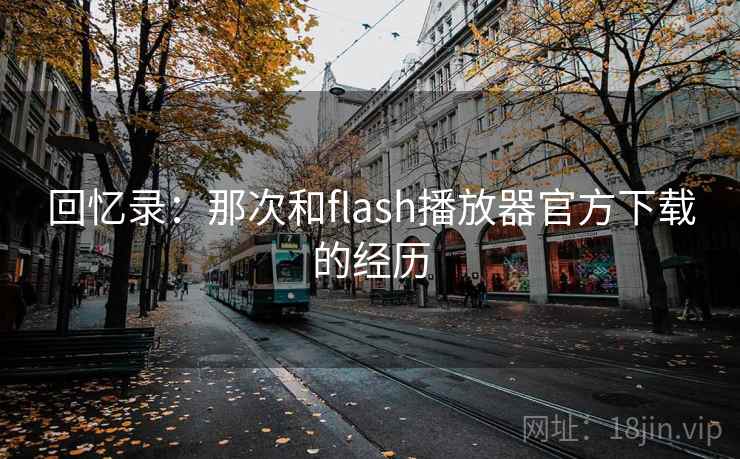 回忆录：那次和flash播放器官方下载的经历  第1张