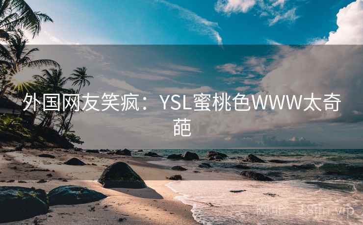 外国网友笑疯：YSL蜜桃色WWW太奇葩  第2张
